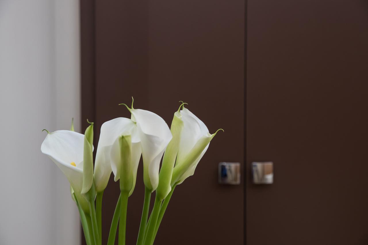 Couette-café Palazzo Perla - And 3*